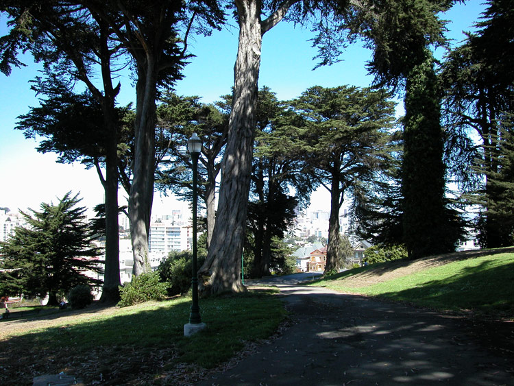 Alamo Square Park